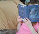 在线轰炸机免费版